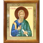 Апостол Андрей Первозванный, икона в рамке 17,5*20,5 см - Иконы оптом
