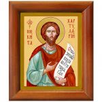 Блаженный Никита Константинопольский, хартуларий, икона в деревянной рамке 8*9,5 см - Иконы оптом