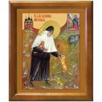 Блаженная Екатерина (Малков-Панина) Пюхтицкая, Христа ради юродивая, икона в деревянной рамке 17,5*20,5 см - Иконы оптом