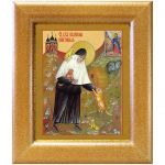 Блаженная Екатерина (Малков-Панина) Пюхтицкая, Христа ради юродивая, икона в широкой рамке 14,5*16,5 см - Иконы оптом