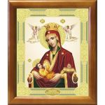 Икона Божией Матери "Млекопитательница", рамка 20*23,5 см - Иконы оптом
