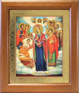 Икона Богородицы "Целительница" и святые врачеватели, широкая рамка 19*22,5 см - Иконы оптом